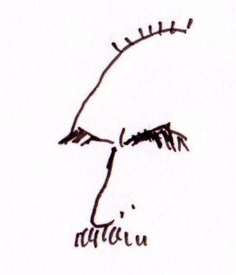 おやじの従軍記